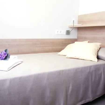 Residencia Universitaria Resa La Concepcion * ולנסיה