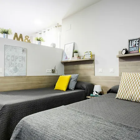 بيت شباب Colegio Mayor Resa La Concepcion