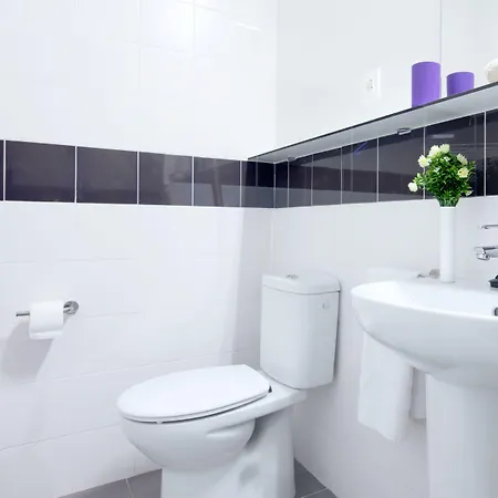 بيت شباب Colegio Mayor Resa La Concepcion